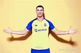 开云-前尤文图斯中场尤戈维奇在接受采访时